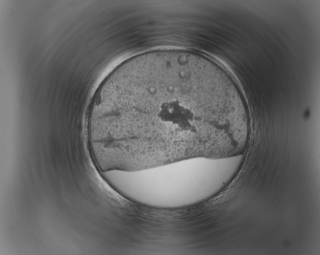 X0000116121243200912141037