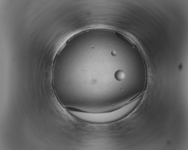 X0000116121244200912141037