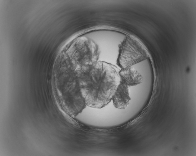 X0000116121245200912141037