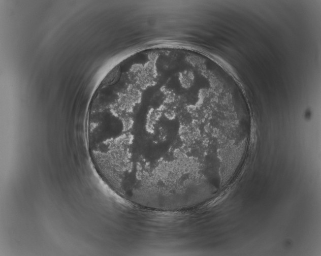 X0000116121247200912141037