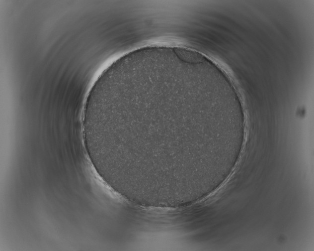 X0000116121248200912141038