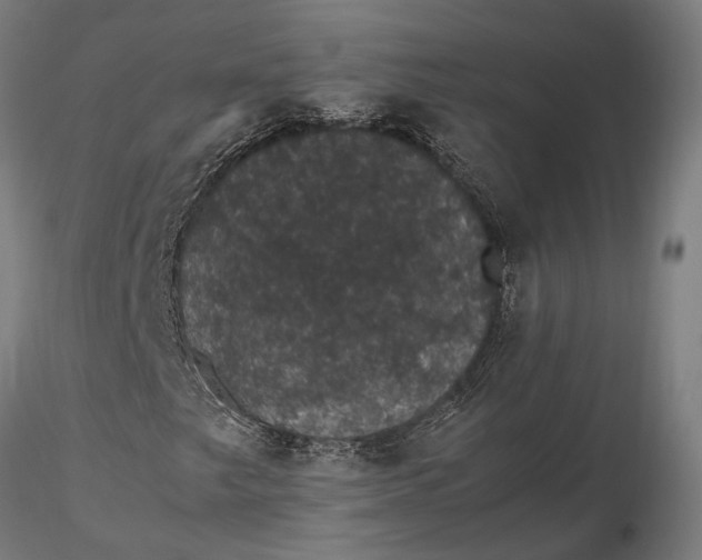 X0000116121249200912141037