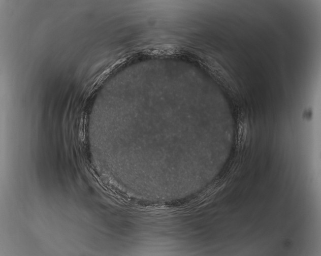 X0000116121250200912141037