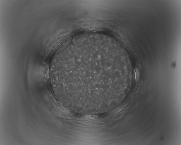 X0000116121251200912141037