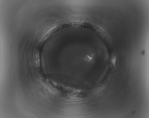 X0000116121252200912141037