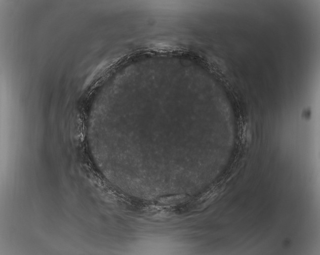 X0000116121253200912141037