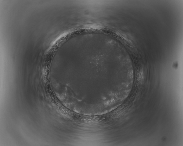 X0000116121254200912141037