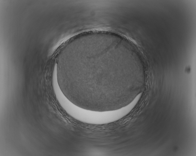 X0000116121255200912141037