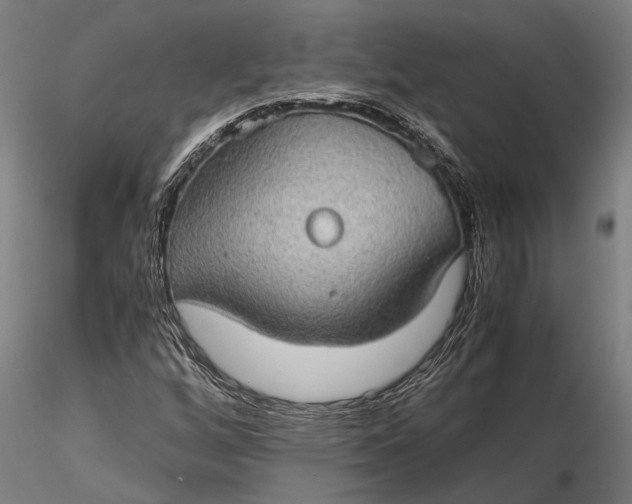 X0000116121256200912141037