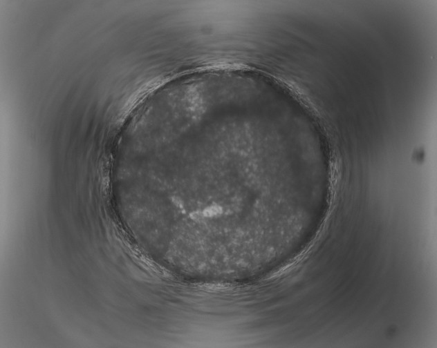 X0000116121257200912141037