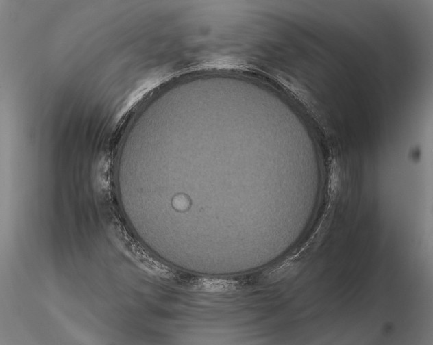 X0000116121258200912141037