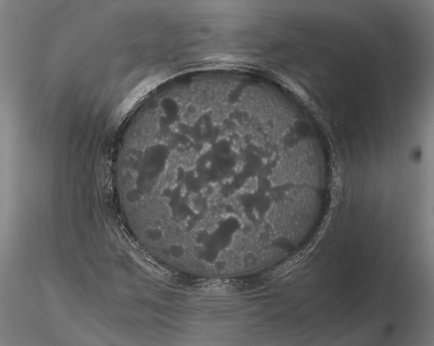 X0000116121259200912141037