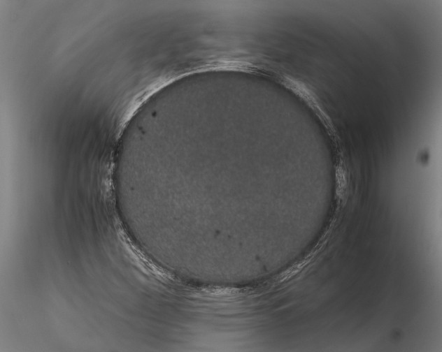 X0000116121260200912141037