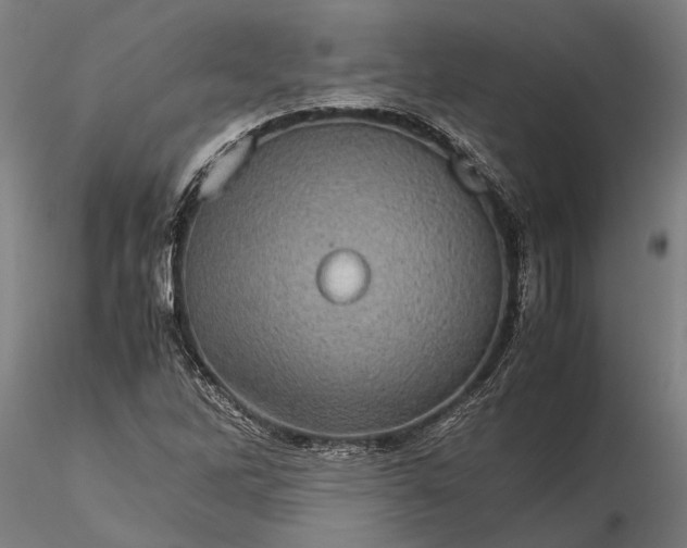 X0000116121262200912141037