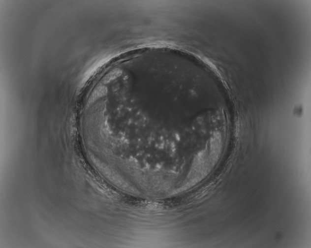 X0000116121263200912141036