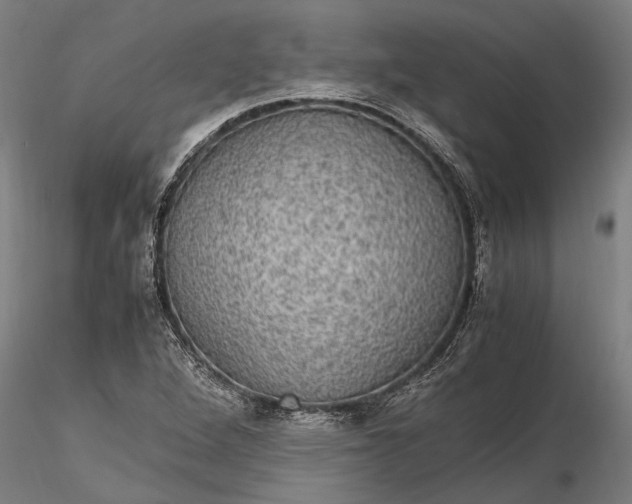 X0000116121264200912141036