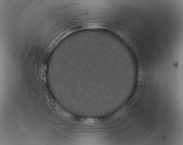 X0000116121265200912141036