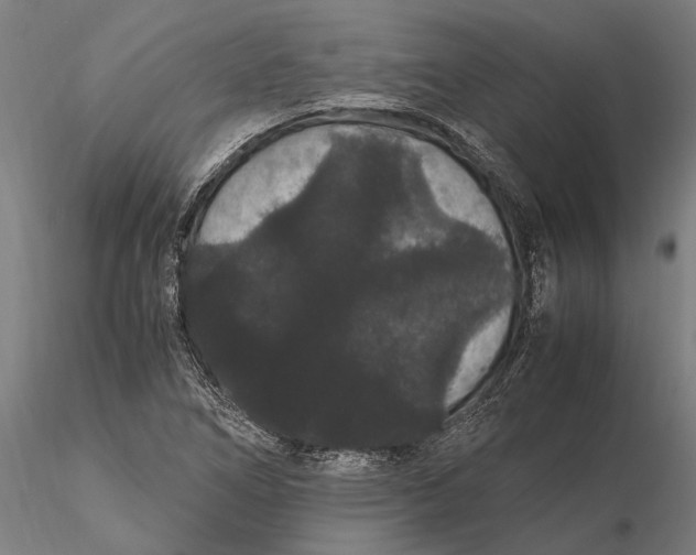 X0000116121266200912141036