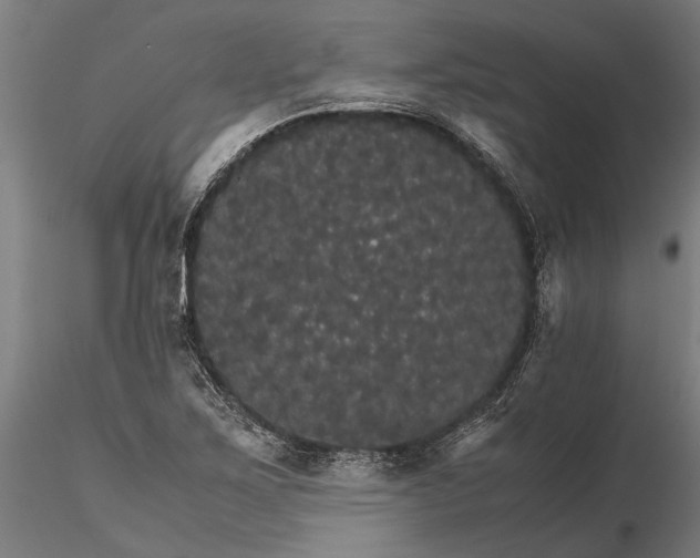 X0000116121267200912141036