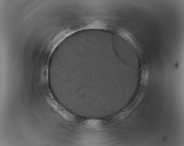 X0000116121268200912141036