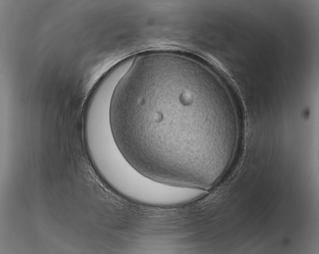 X0000116121269200912141036