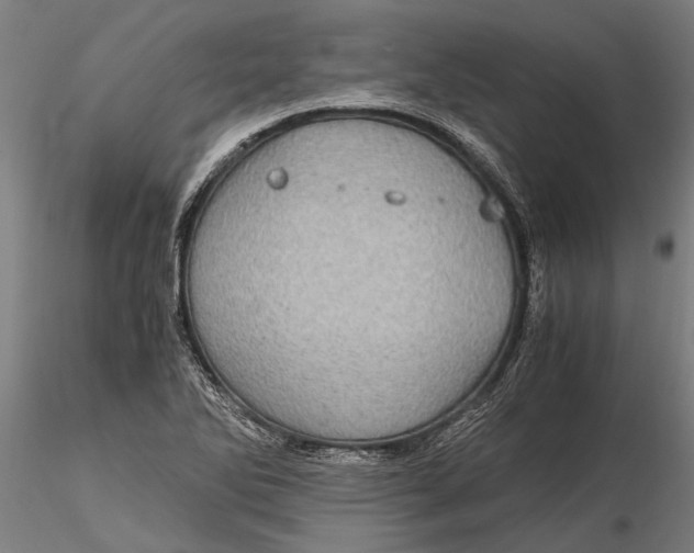 X0000116121270200912141036