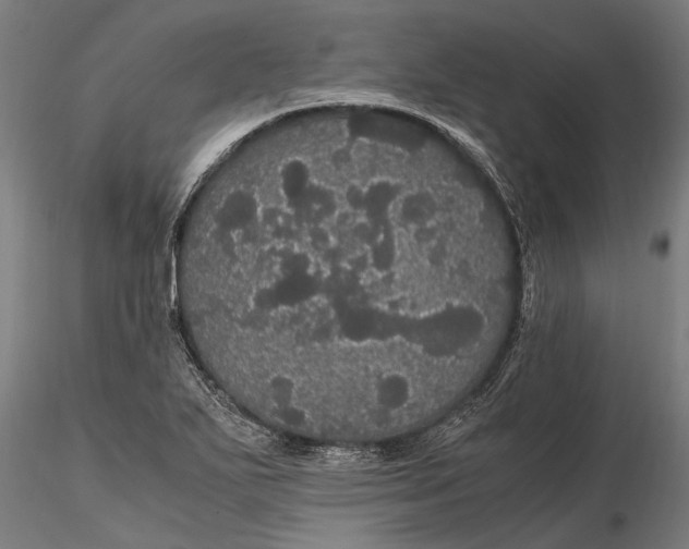 X0000116121271200912141036