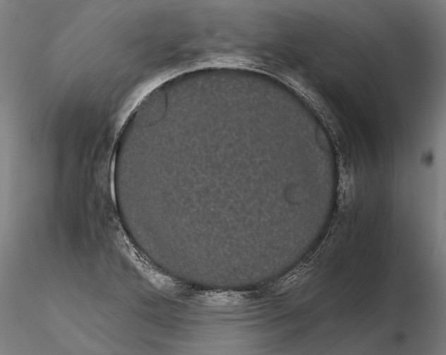 X0000116121272200912141036