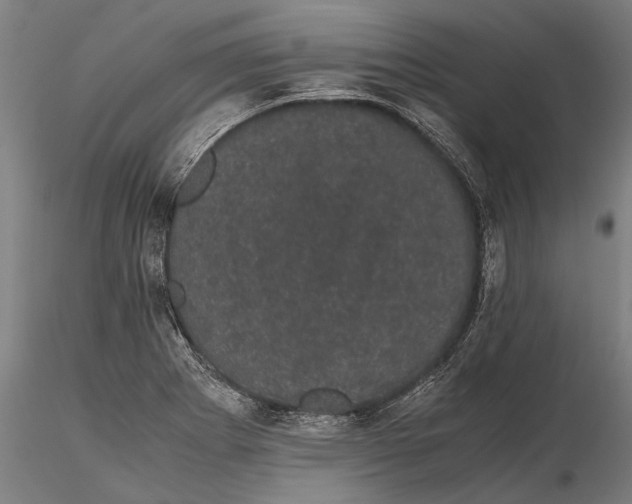 X0000116121273200912141036