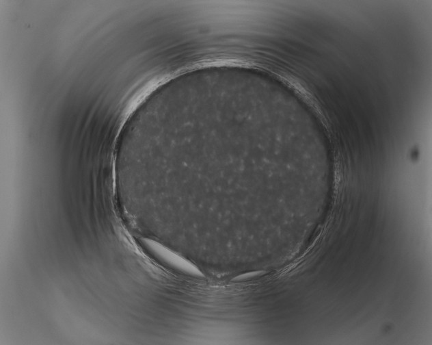 X0000116121274200912141036