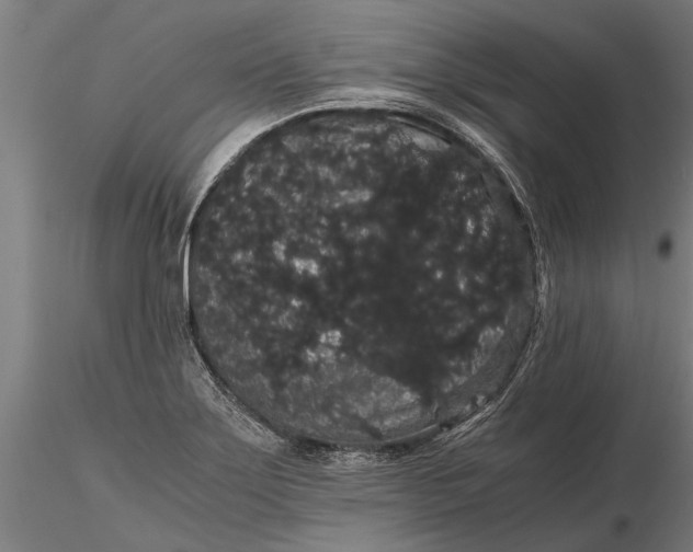 X0000116121275200912141036