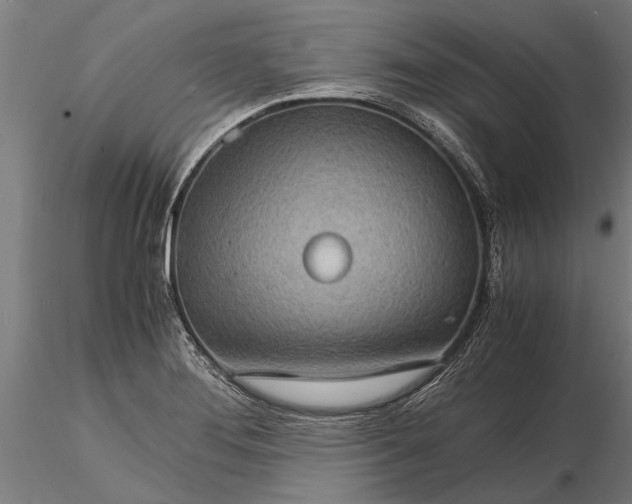 X0000116121276200912141036