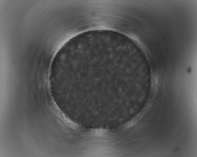 X0000116121278200912141036