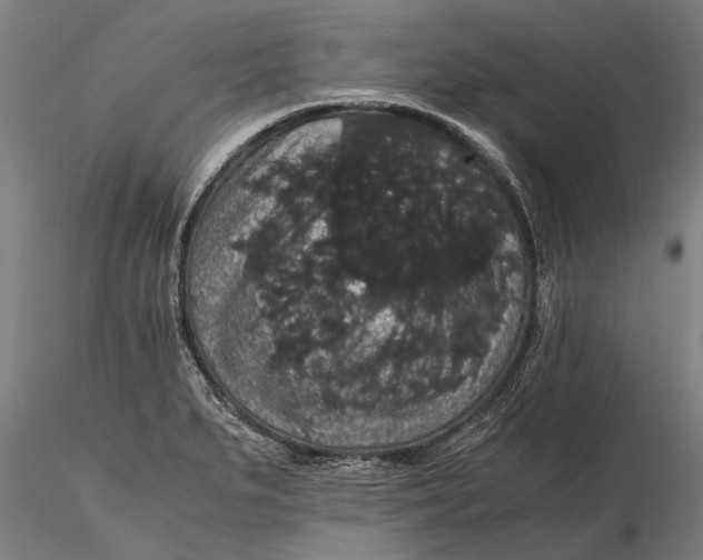 X0000116121279200912141036