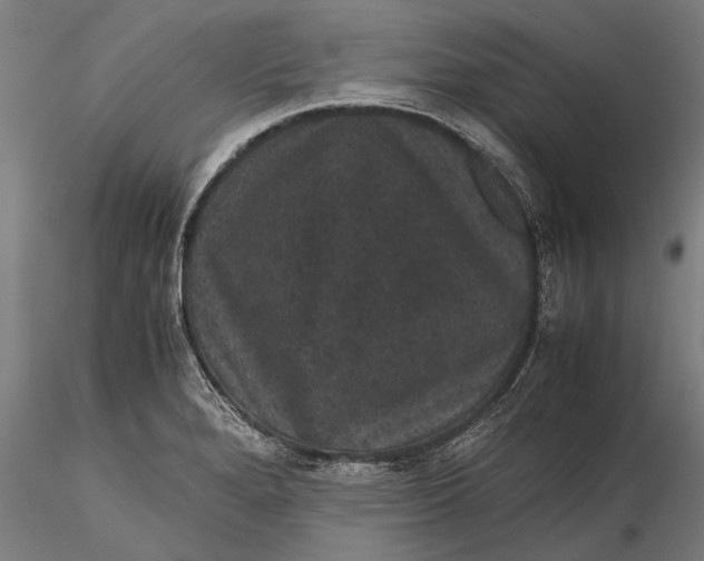 X0000116121280200912141036