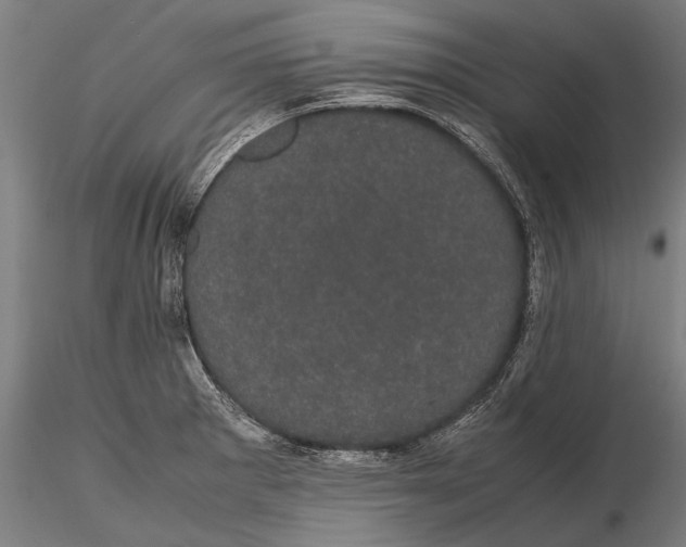 X0000116121281200912141036