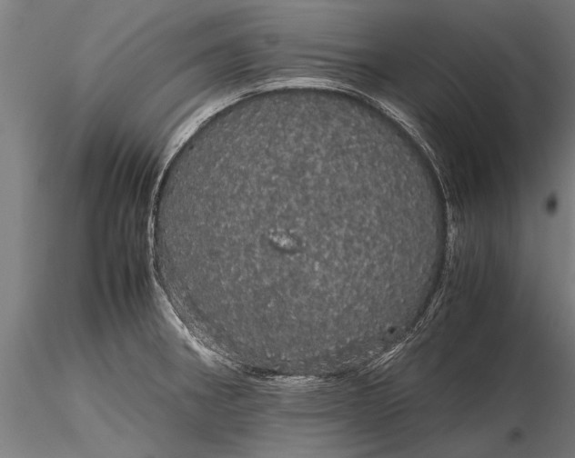 X0000116121282200912141036