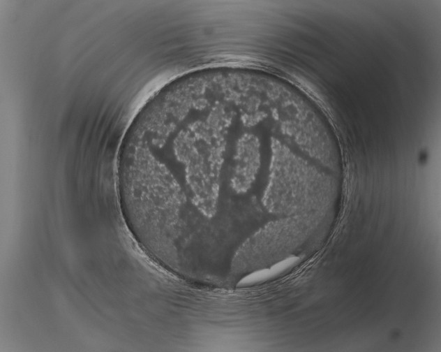 X0000116121283200912141036