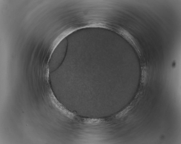 X0000116121284200912141036