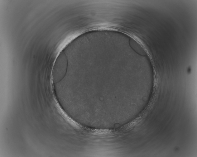 X0000116121285200912141036