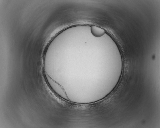 X0000116121286200912141036