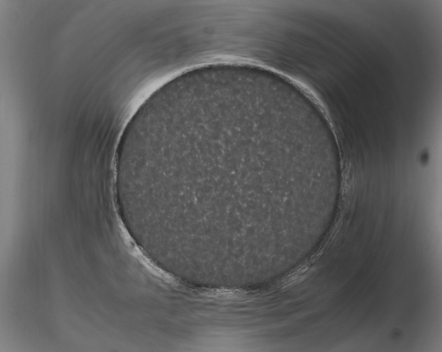 X0000116121287200912141036