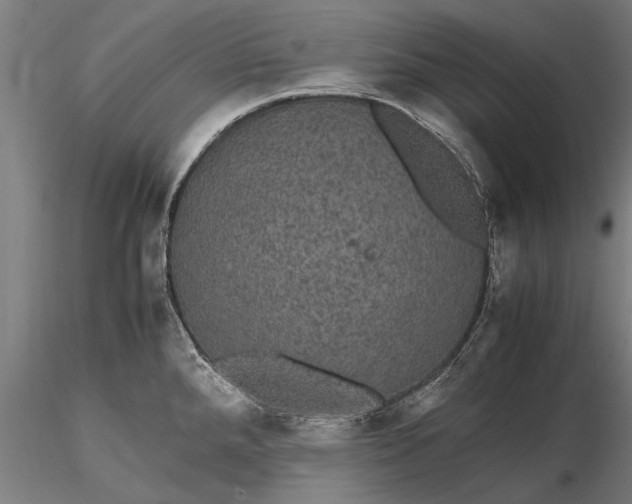 X0000116121288200912141036