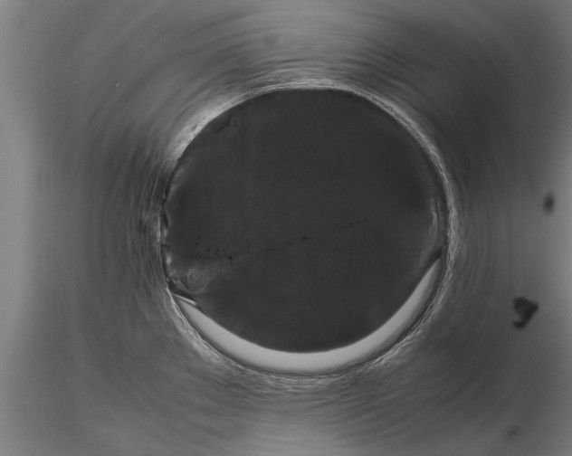 X0000116121289200912141036