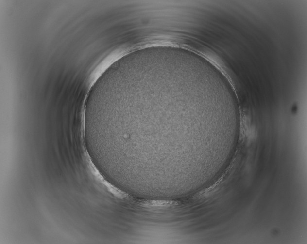 X0000116121290200912141036