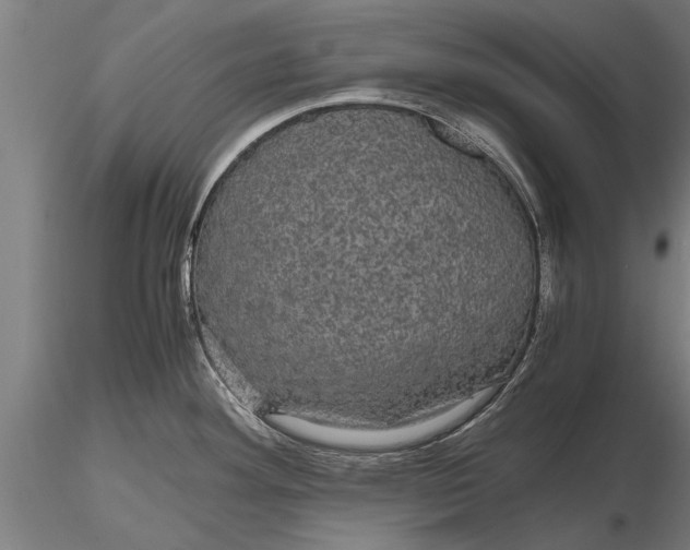 X0000116121292200912141036