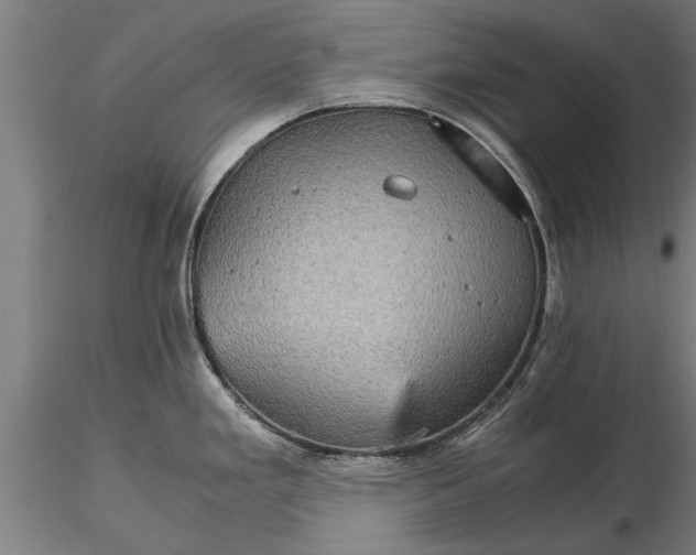 X0000116121293200912141036