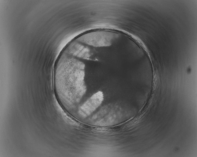 X0000116121295200912141036