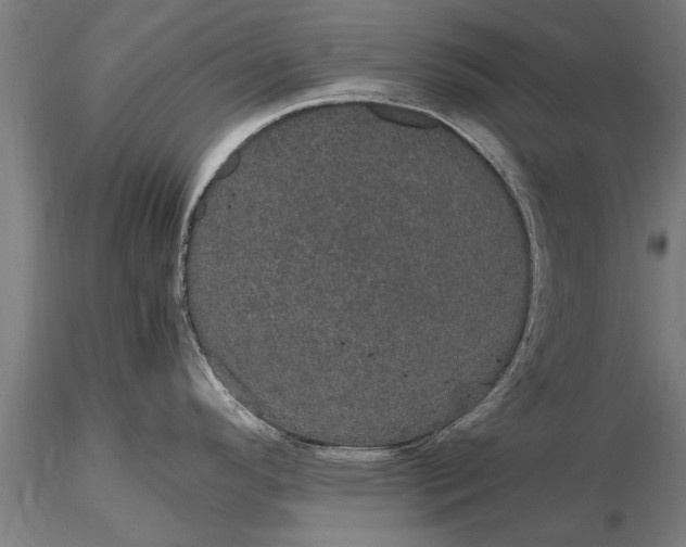 X0000116121296200912141036