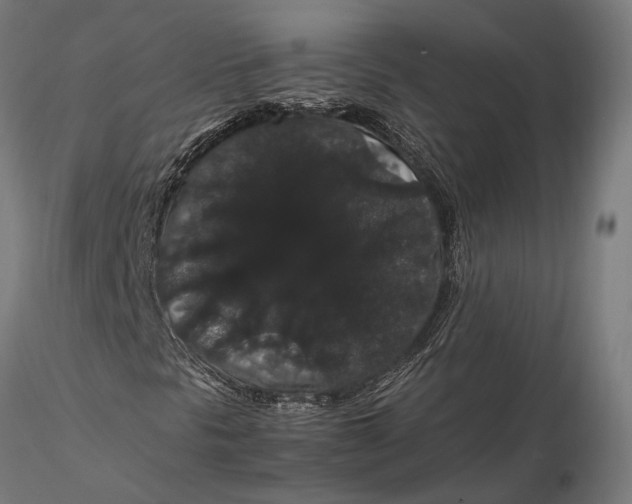 X0000116121297200912141035